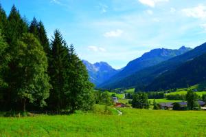 a green field with mountains in the background at Hotel Kristall in Kleinarl
