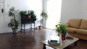 a living room with a couch and a table with plants at Luiz & Cristiana Sampaio in Salvador