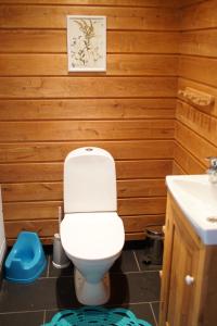 a bathroom with a white toilet and a sink at Aasavälja Rannamaja in Kabli