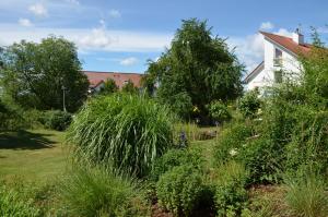 einen Garten mit hohen Gras- und Büschen vor einem Haus in der Unterkunft Apartment St. Leonhard in Überlingen