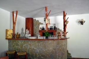 Lounge nebo bar v ubytování Raza Soarelui