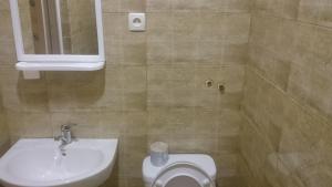 Koupelna v ubytování Guest House Econom