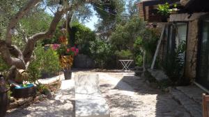 Vonkajšia záhrada v ubytovaní Limonaia in Salento