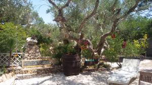 Vonkajšia záhrada v ubytovaní Limonaia in Salento