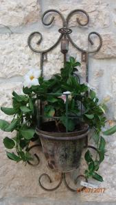 Fotografie z fotogalerie ubytování Apartment Marta v destinaci Korčula
