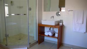 y baño con lavabo y ducha acristalada. en Honeylocust Guesthouse, en Colesberg