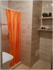 Kylpyhuone majoituspaikassa Jaukus butas Šiaulių miesto centre