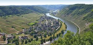 an aerial view of a river in a valley at Weinhotel Sonnenschein in Ernst
