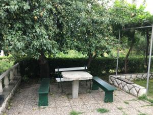 Zahrada ubytování Apartments Ankica