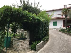 Zahrada ubytování Apartments Ankica