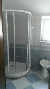 a bathroom with a shower with a toilet and a sink at Apartma Čeh in Gabrovica pri Črnem Kalu +14 photos