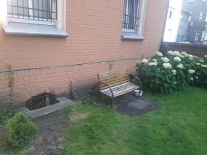 Vonkajšia záhrada v ubytovaní Hostel Pałacyk