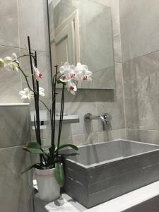 a bathroom sink with a potted plant and a mirror at Klities Guest House in Polygryos