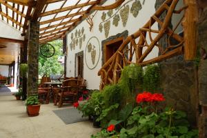 Zahrada ubytování Casa Vlad