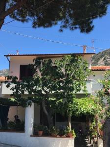 a white house with a tree in front of it at Casa Tina in Pomonte