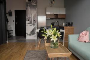 Kuchnia lub aneks kuchenny w obiekcie Apartament Portowy Zakątek