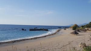 a beach with a group of animals in the water at Triantis Apartments in Ligia