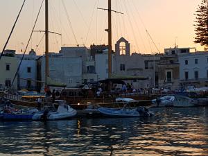 a group of boats docked in a harbor at sunset at Antica Trani in Trani