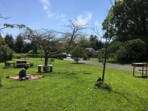 A garden outside The Burren Hostel - Sleepzone