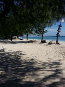 una playa con árboles y el océano en el fondo en Yaya Bungalows Blue Coral, en Gili Meno