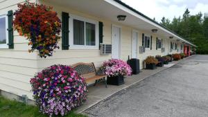 Zahrada ubytování Sunset Motel at Armand's Gardens