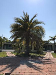 a palm tree in the middle of a brick road at Apollo Inn - Cocoa in Cocoa