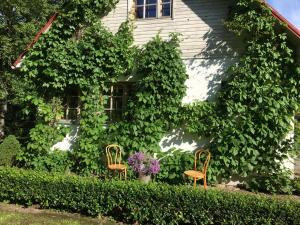 Afbeelding uit fotogalerij van River Villa, 20 min by train to Old Town, big yard in Lagedi