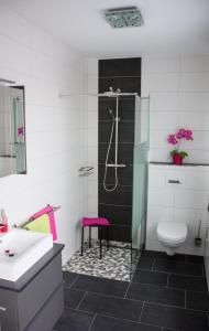 een badkamer met een douche, een toilet en een wastafel bij Ferienwohnung im Tännig in Bischberg