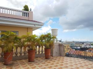 einen Balkon mit Palmen vor einem Gebäude in der Unterkunft Sophia Suites Residence Hotel in Cebu City