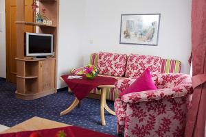 a living room with a couch and a tv at Landhaus Mühlengrund in Baiersbronn