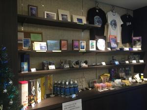 a store shelf with books and a christmas tree at Hotel Lexton Tanegashima in Nishinoomote