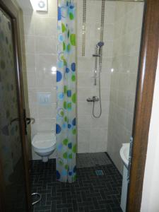 ein Badezimmer mit Dusche, Toilette und Waschbecken in der Unterkunft Liador in Câmpia Turzii + 27 Fotos