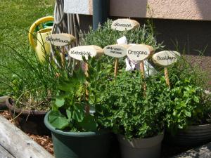Ein Garten an der Unterkunft Hintereggerhof