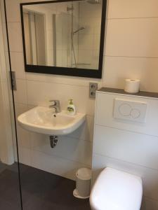 een badkamer met een wastafel, een toilet en een spiegel bij FeWo Bettenhausen in Morschen