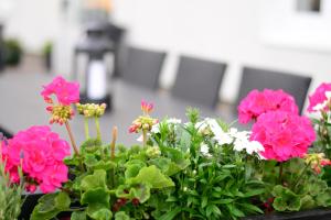 Giardino di Alkoven Logi