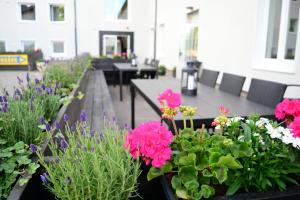 Giardino di Alkoven Logi