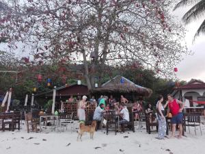 Gäste, die in der Unterkunft Pen's Bungalow Koh Phangan übernachten