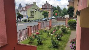 Zahrada ubytování Villa Serena