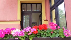 Zahrada ubytování Villa Serena