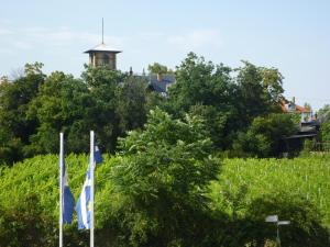 Zahrada ubytování Gästehaus Deidesheim