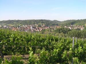 een wijnveld met een stad op de achtergrond bij Ferienwohnung Am Alten Berg in Ochsenfurt