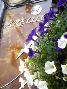 Φωτογραφία από το άλμπουμ του Hotel Areulo σε Cerler