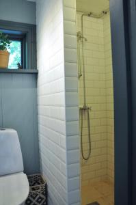 eine Duschkabine im Bad mit WC in der Unterkunft Håkesgård Bed&Garden in Veddige