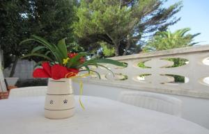 レウカにあるBilocale con spazio verdeのテーブルに座る赤い花瓶