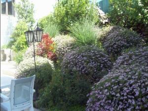 Galeriebild der Unterkunft LOGIS HOTEL Les Tilleuls in Saint-Cirgues-de-Jordanne