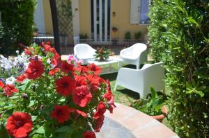 Zahrada ubytování Ansise Guest House