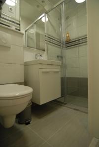 y baño con aseo y ducha acristalada. en Apartment Maria en Split