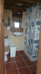 a bathroom with a toilet and a sink at Caravan Apartment in Tinajo