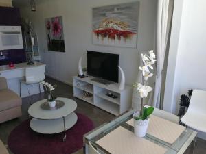- un salon avec une télévision et une table fleurie dans l'établissement Aloe New Excellence, à Playa del Ingles