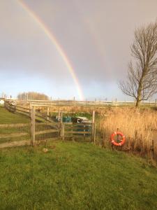 a rainbow over a field with a fence at Pension Roager in Jejsing